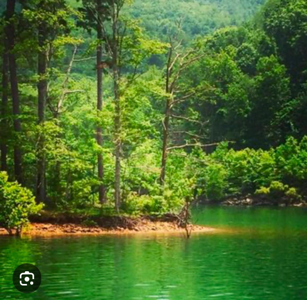 Monarch Mountain Cabins Cabin A Tennessee Thyme Elizabethton Esterno foto